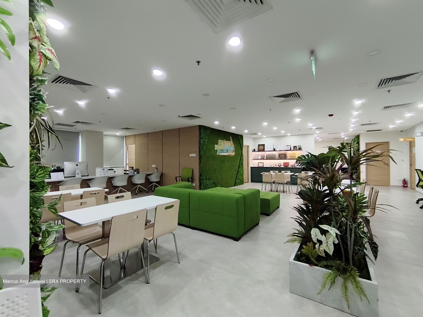 Chinatown Point (D1), Office #530217561
